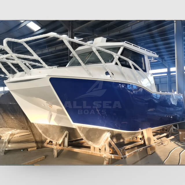 Barco catamarã de 8,8 m