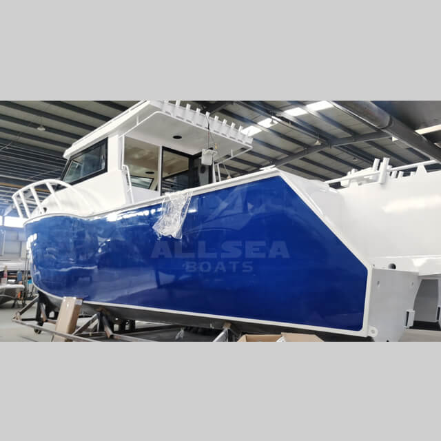 Barco catamarã de 8,8 m