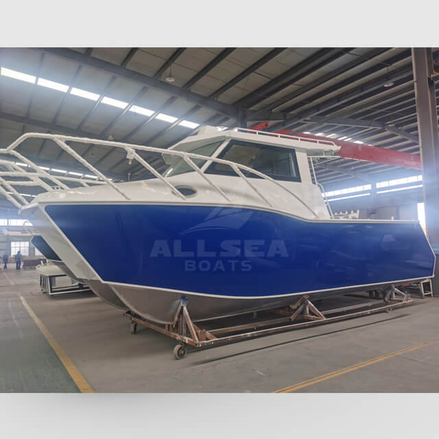 Barco catamarã de 8,8 m