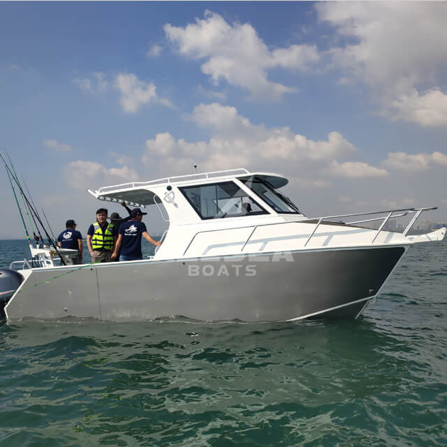 Barco catamarã de 7,3 m