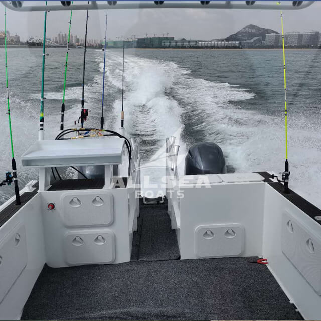 Barco catamarã de 7,3 m