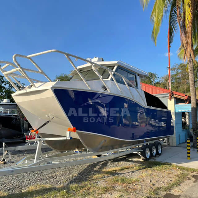 Barco catamarã de 8,8 m